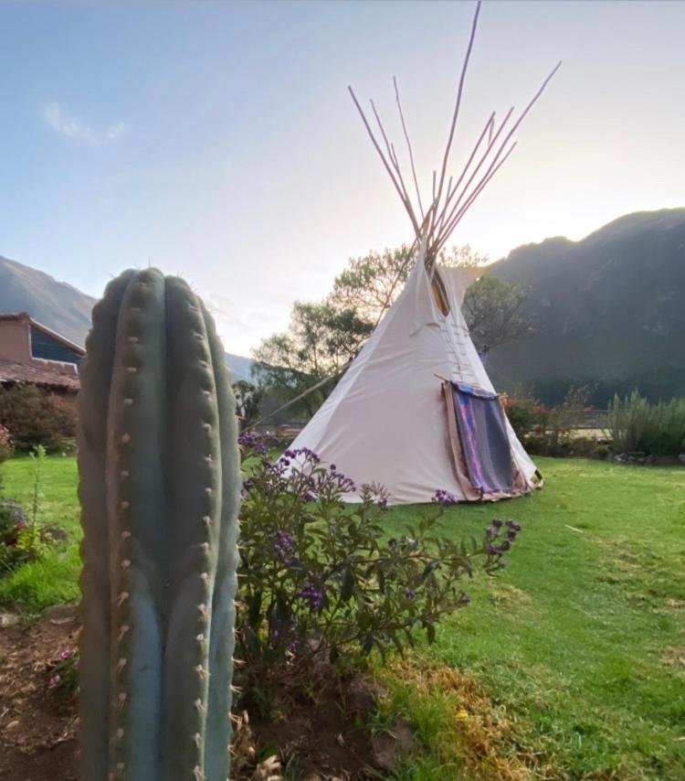 Sonqo Andino Hospedaje Medicina Pisac Kültér fotó